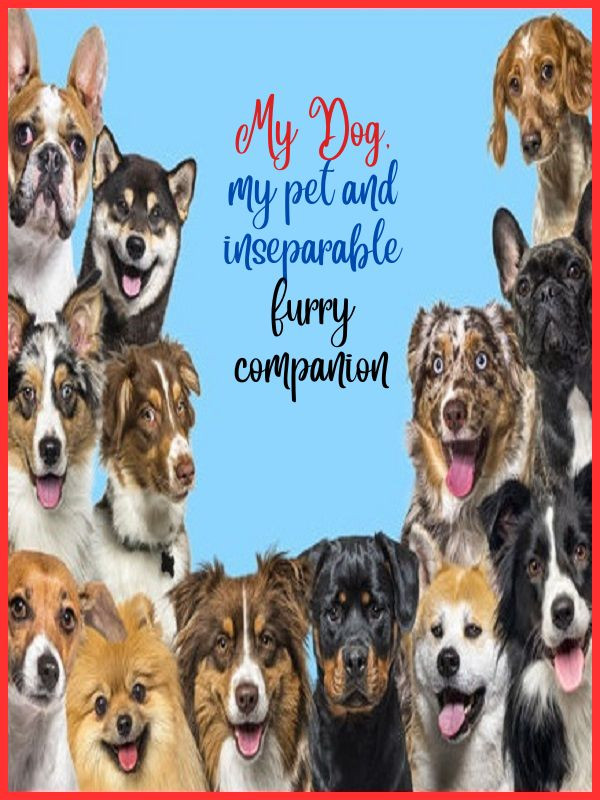 Lektu - Comprar Ebook My Dog, my pet and inseparable furry companion