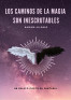 Los caminos de la magia son inescrutables