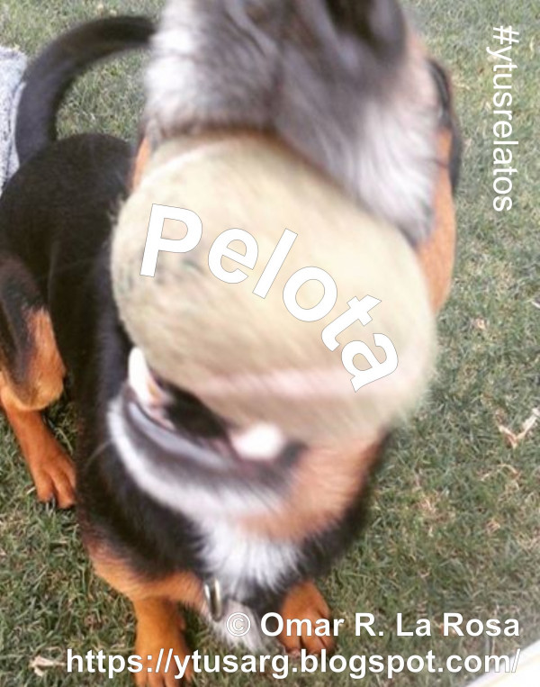 Pelota