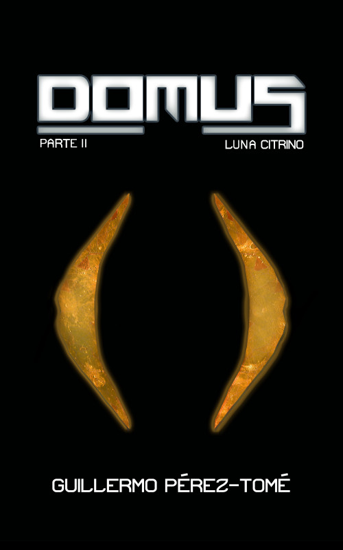 DOMUS - Luna Citrino
