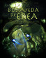 La b&uacute;squeda de Erea