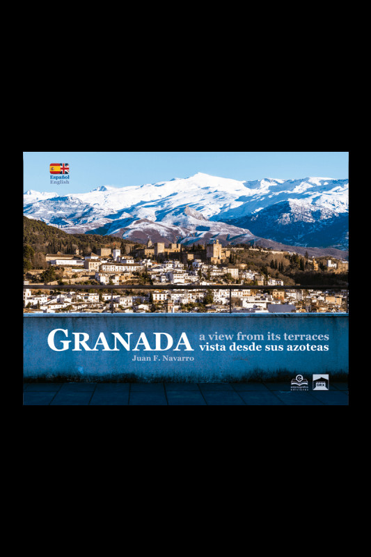 Granada vista desde sus azoteas