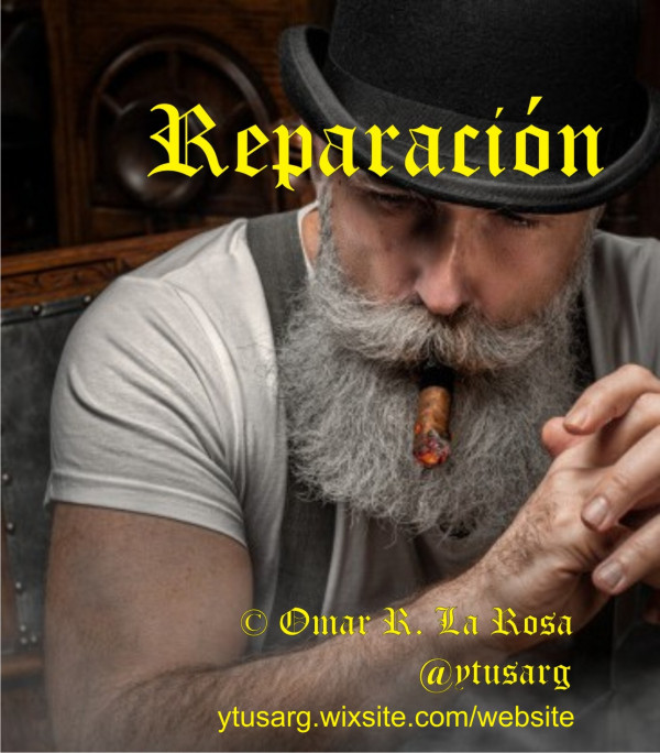 Reparaci&oacute;n