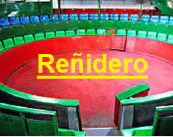 Re&ntilde;idero
