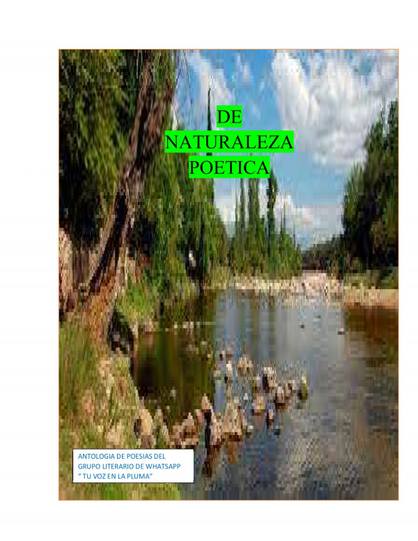 De Naturaleza Po&eacute;tica