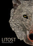 Litost