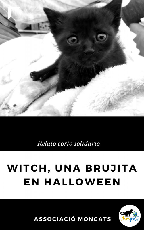 Witch, una brujita en Halloween
