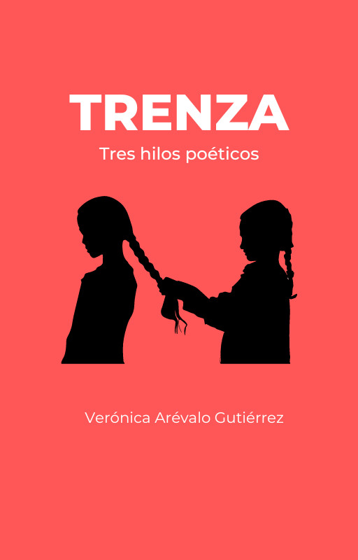 Libro - Trenzas - Prosa y Política