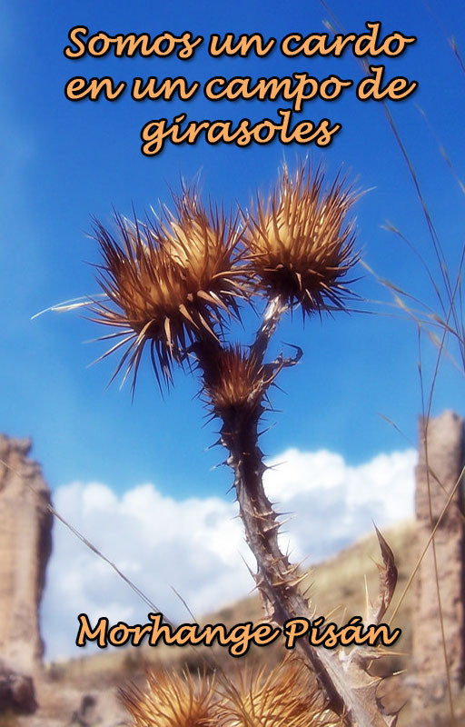 Somos un cardo en un campo de girasoles